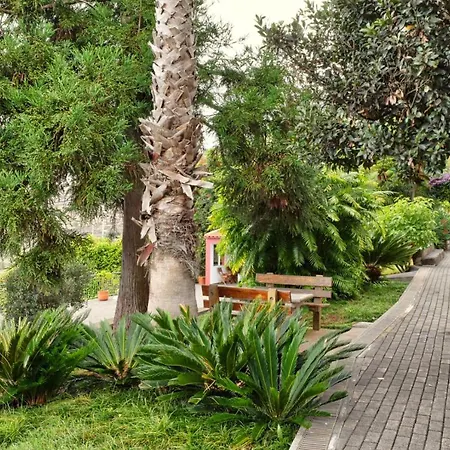 Tatil Evi Loureiros Cottage, A In Madeira Arco da Calheta (Madeira)